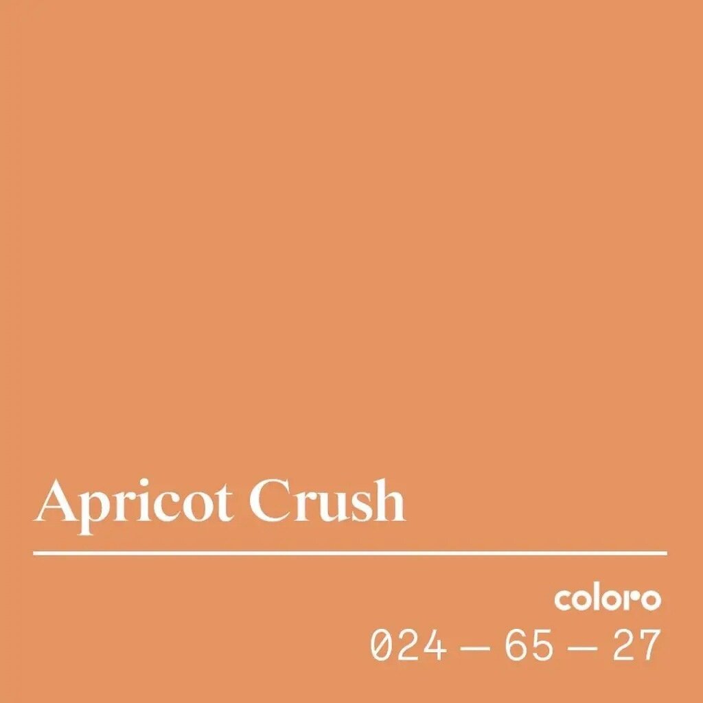 Тренды оттенков 2024. Пантон 2024 цвет года Apricot Crush. Цвет пантон 2024. Абрикосовый цвет пантон. Оттенки пантон 2024.