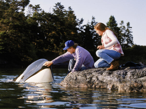 Совместные просмотры кино сближают, а фильмы о животных нравятся и взрослым, и детям. Что же выбрать для уютного семейного вечера?-3