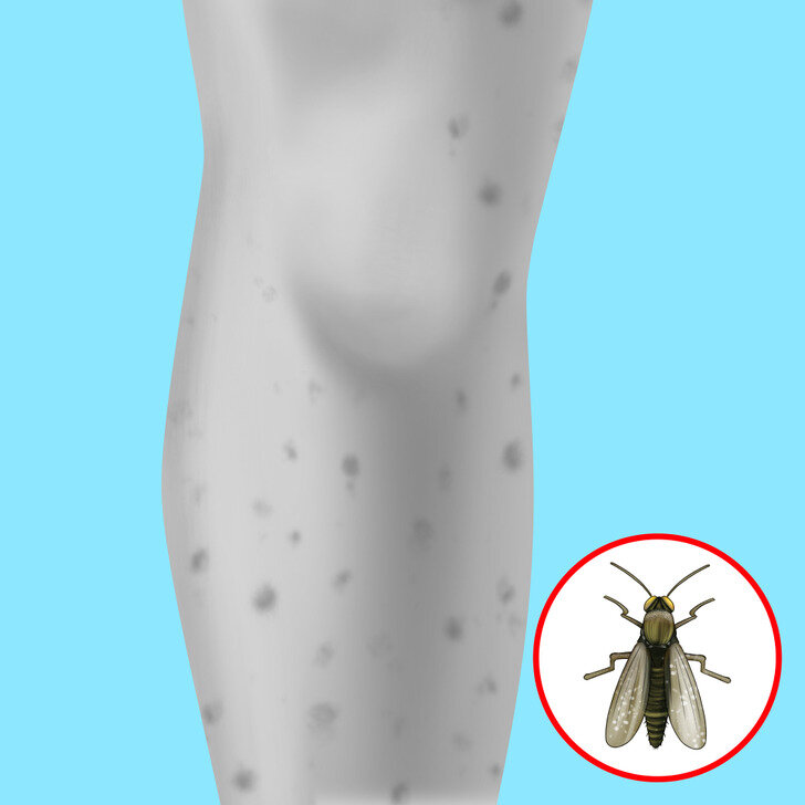 Дутень fallout 4. Гнус 4. Гнус 4. Жалокрыл fallout 4. Гнус 4.