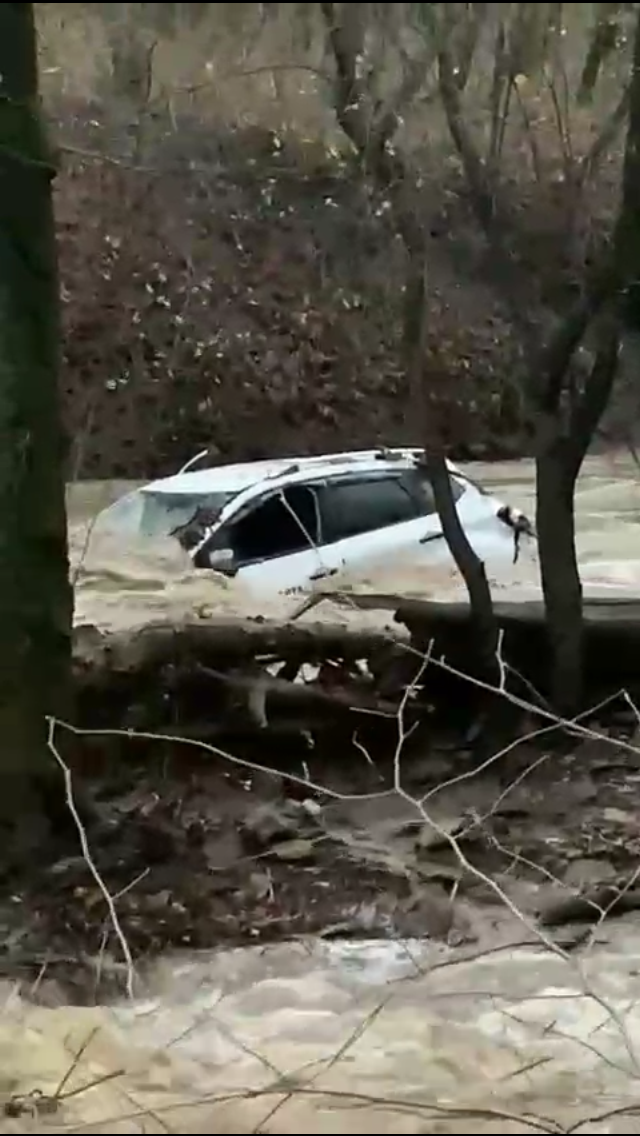 В горной реке