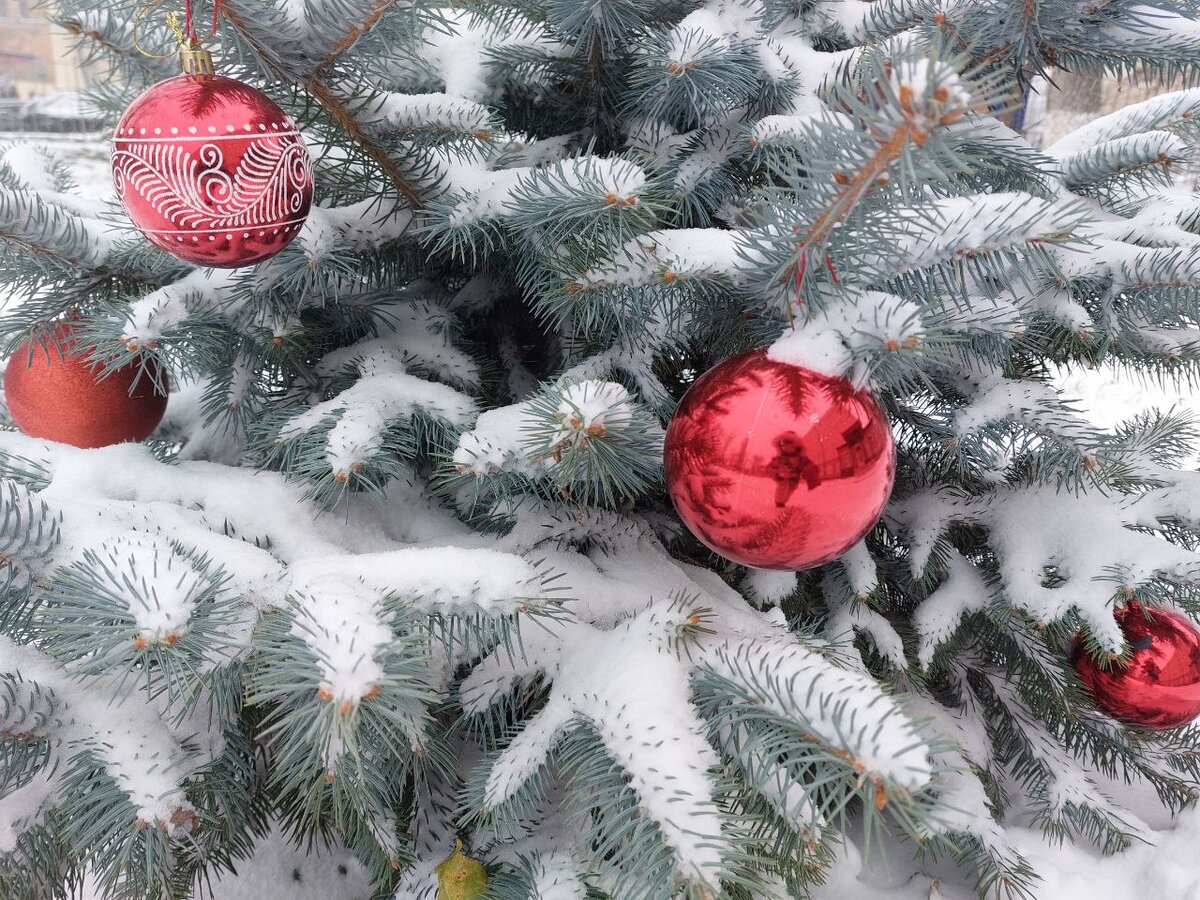 прогноз на период 27 ноября- 3 декабря 2023 года: полнолуние 27 ноября