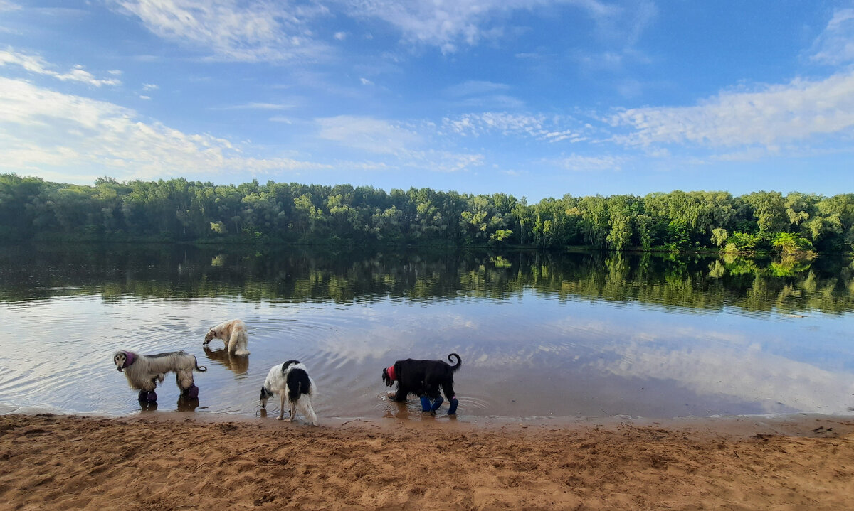 Утро без суеты