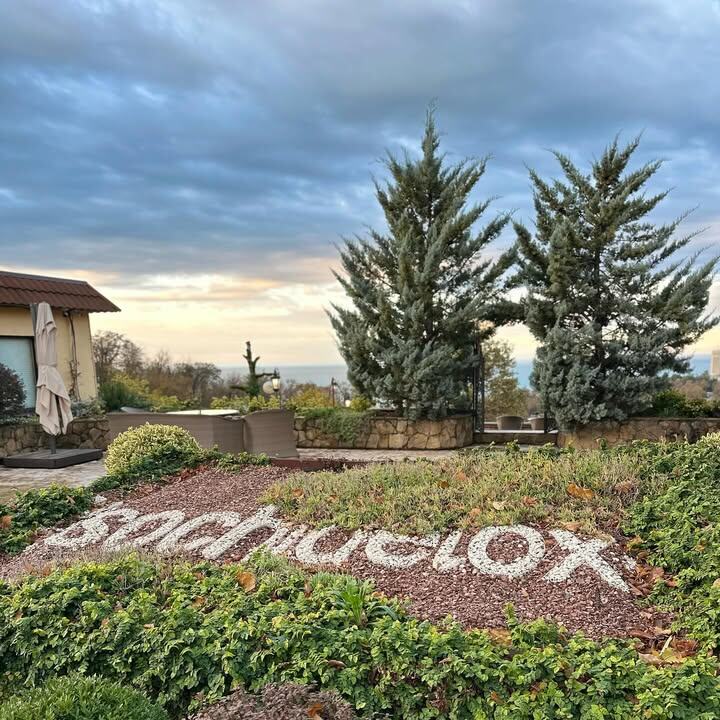 SPATIUM wellness center 