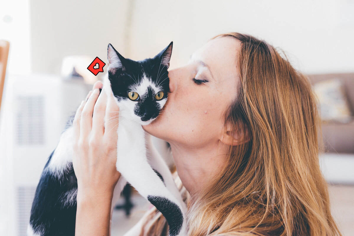     Кошки черно-белого окраса: 10 красивых пород