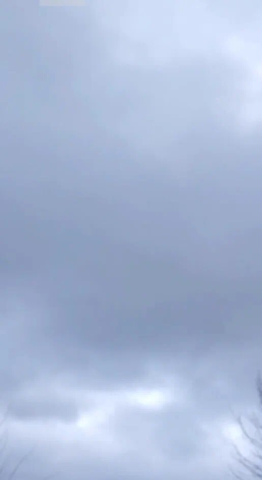 Небо подарило нам первый снег.Дождались.
