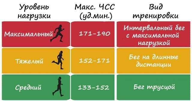 Легкая физическая нагрузка пульс