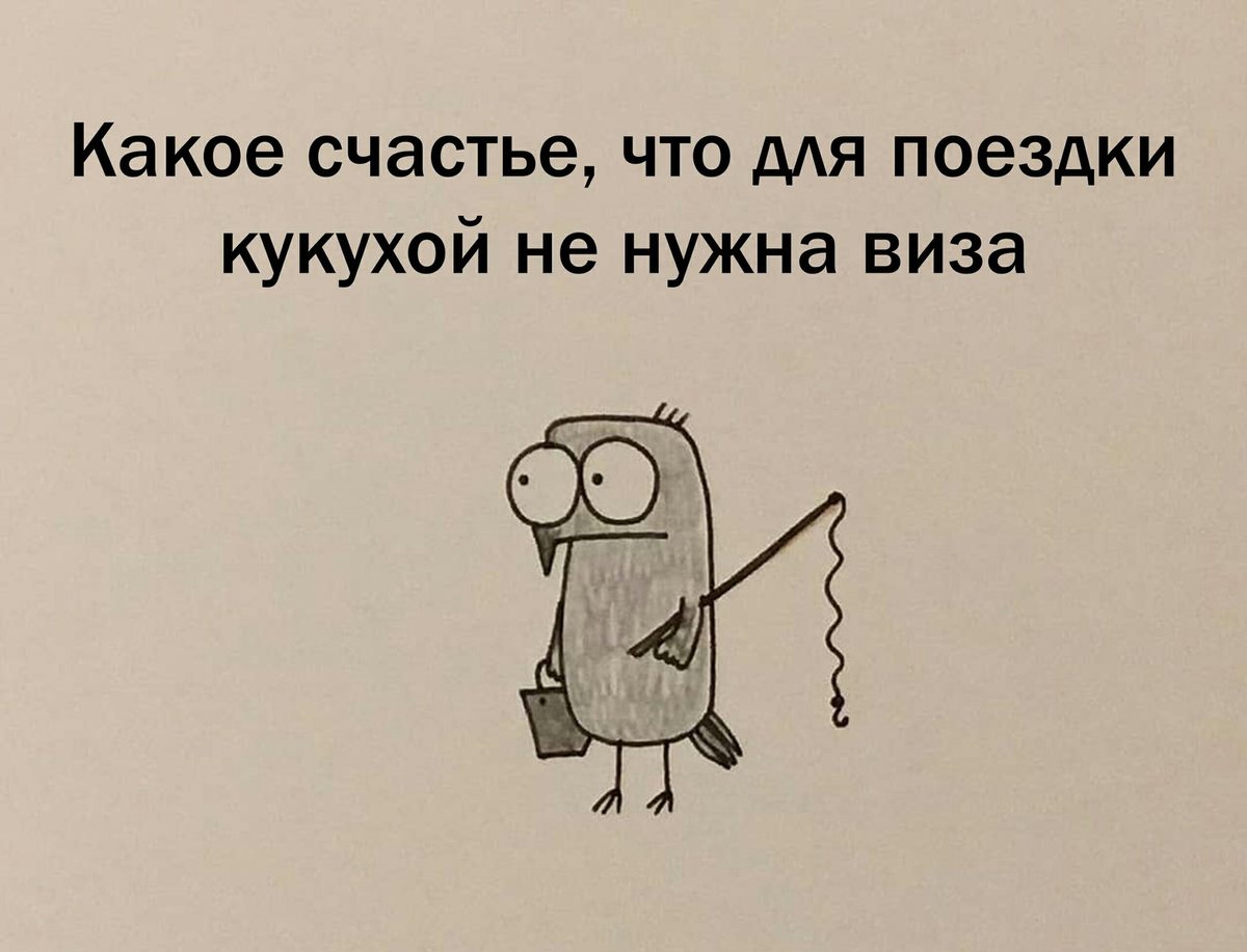 Картинка из интернета