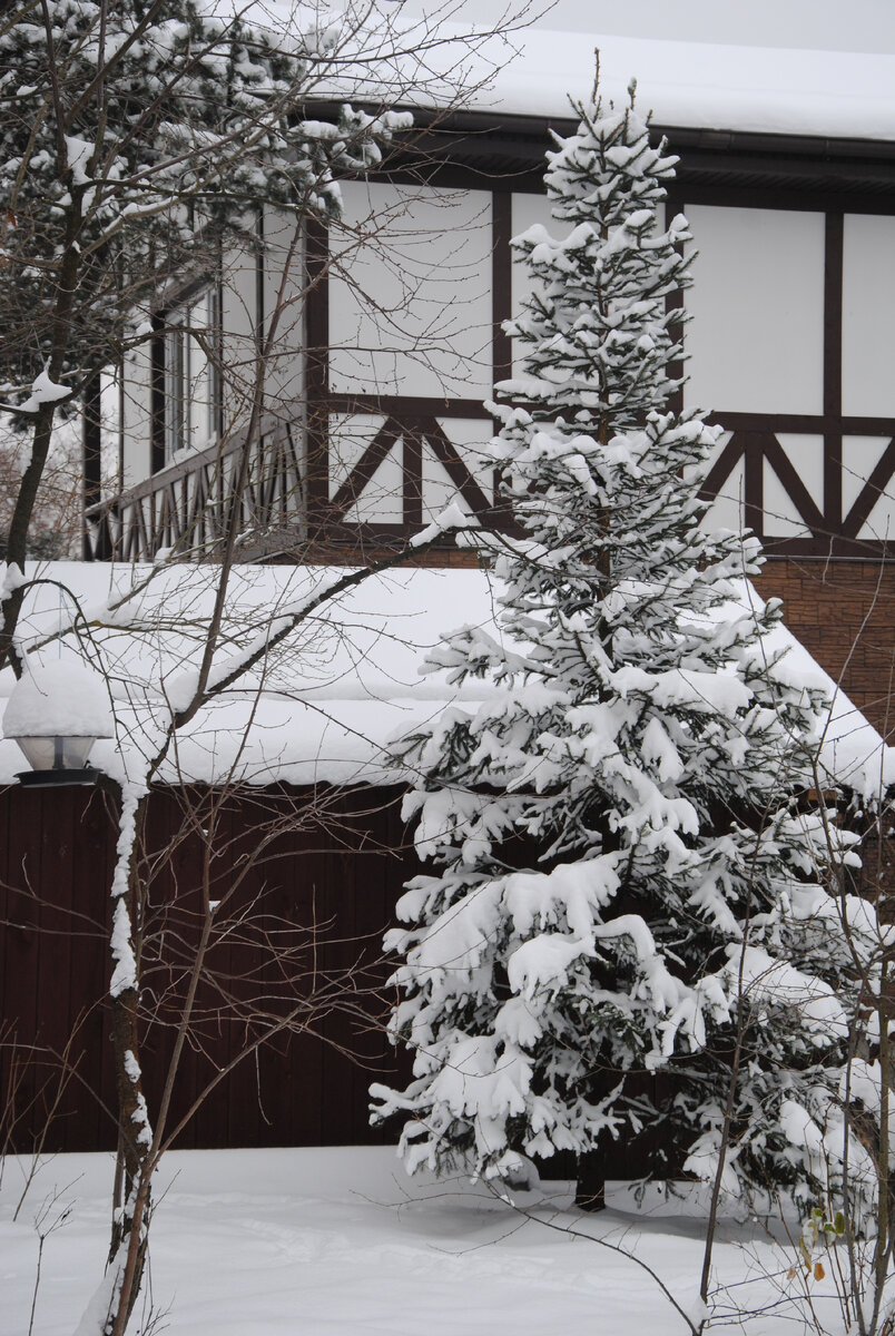 Слева кормушка, предполагающая засыпку корма внутрь, но в основном я просто насыпаю в поддон. Мне показалось, что корм из контейнера очень быстро уходит, может рассыпается излишне при качании кормушки. Елочка - это наша Новогодняя красавица. Наряжаем ее каждый год.