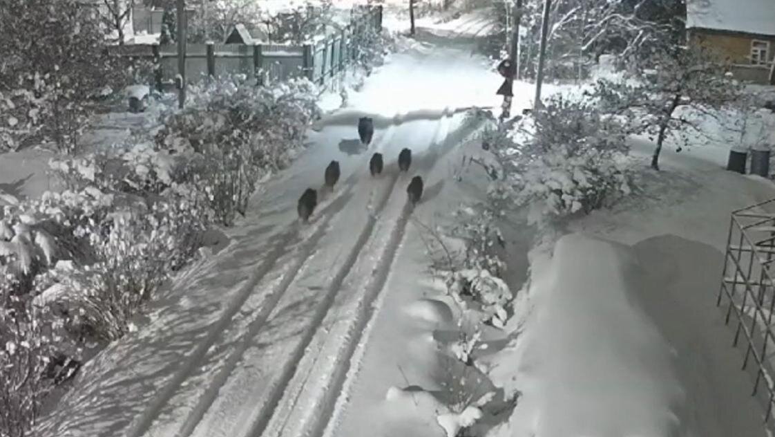 Фото: соцсети