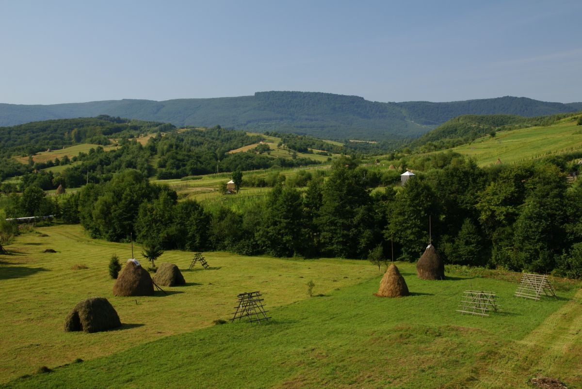 Самому в молдову. Молдова природа. Природа Молдовы Молдавии. Румыния Молдова природа. Ландшафт Молдовы.