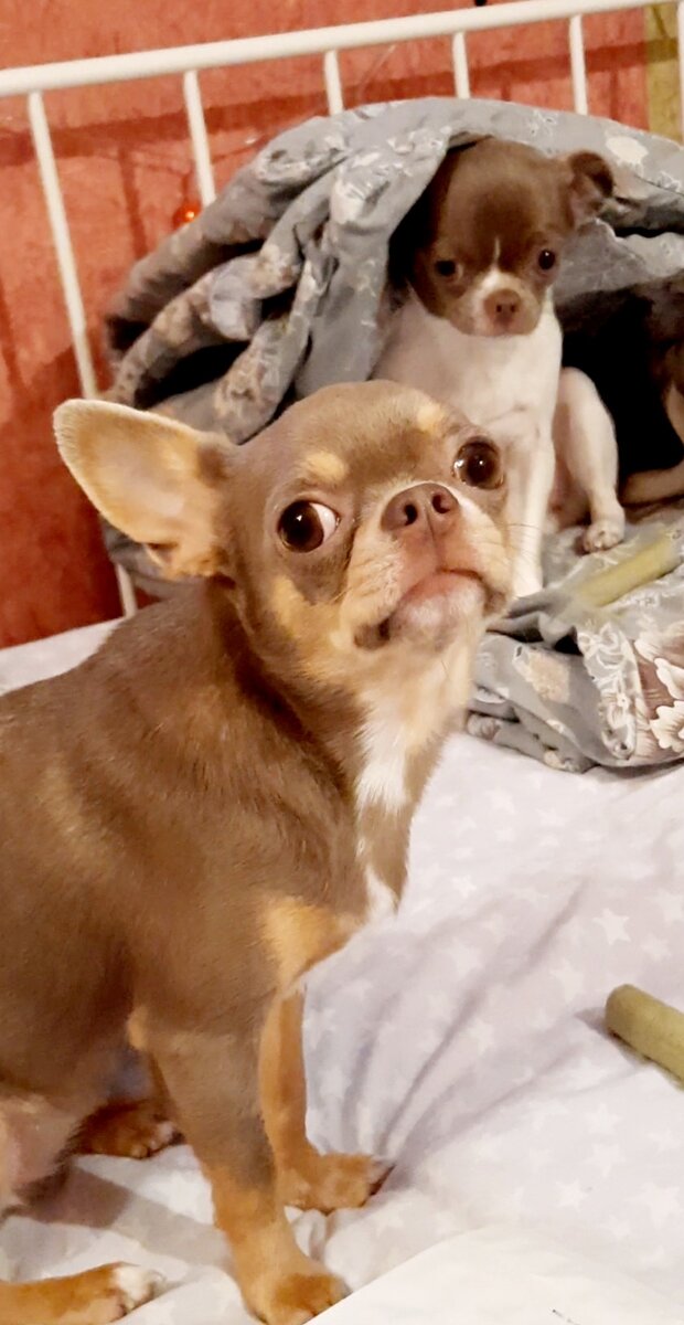 Что вы об этом думаете? ))