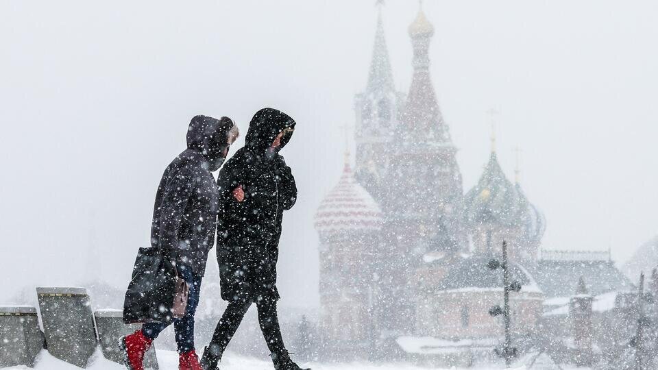 Фото: © ТАСС/Сергей Бобылев