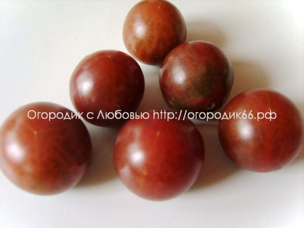 Томат Black cherry (Чёрная вишня)