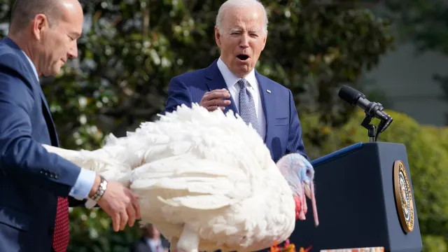 Из издания The Hill.