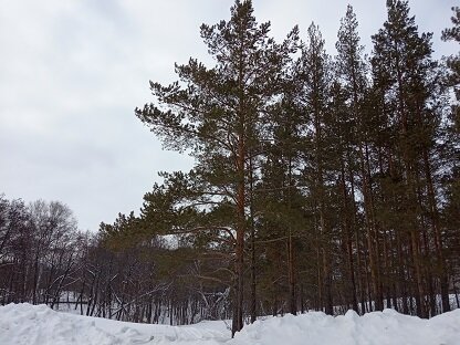 Фотография из личного архива автора