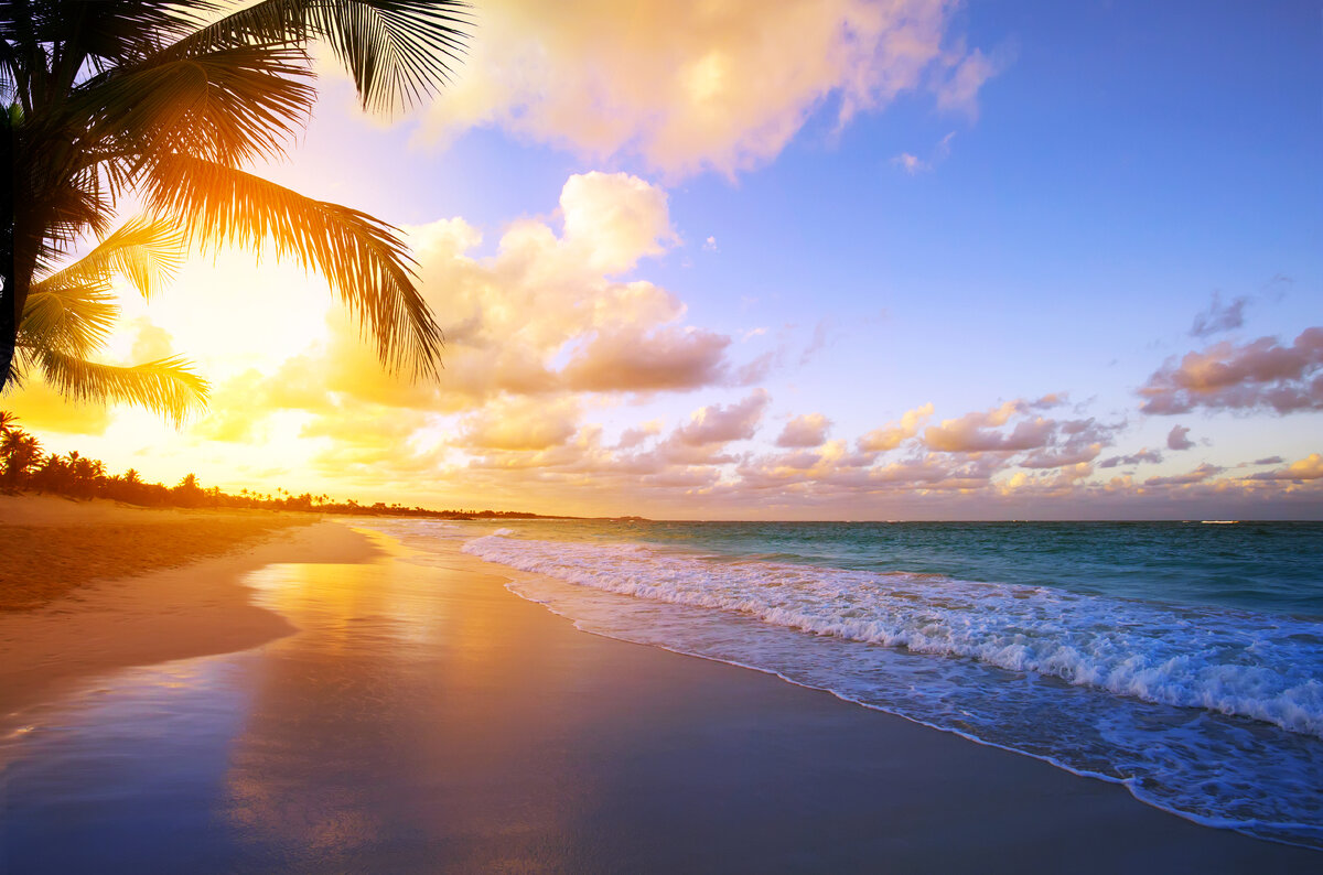 Изображение использовано в качестве иллюстрации. Источник "Яндекс картинки".