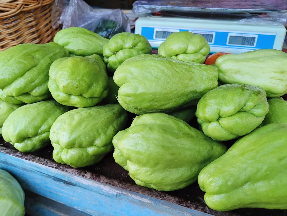 Чаойт. Фото Светы Давыдовой