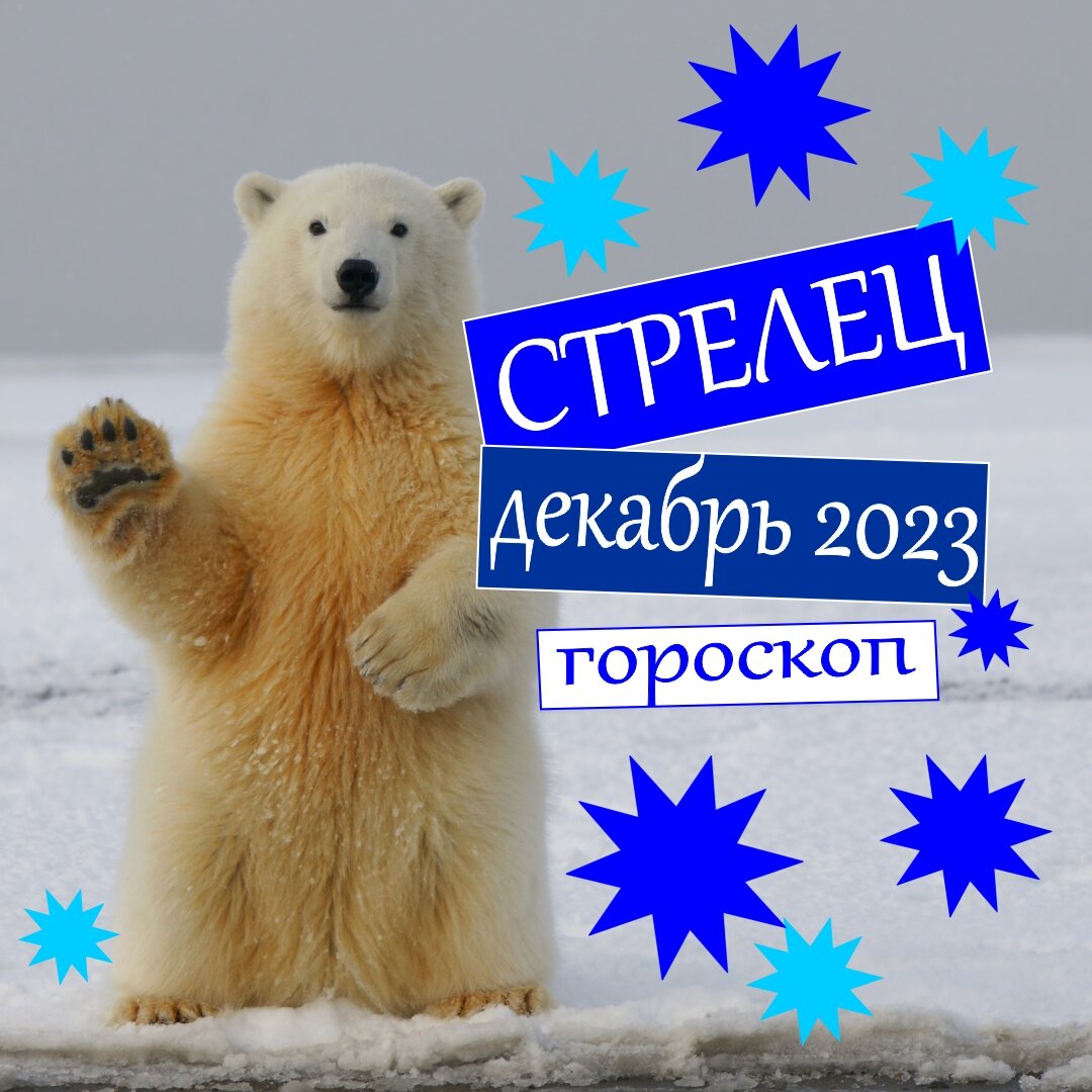 Стрелец. Гороскоп на декабрь 2023: деньги, любовь, работа, здоровье |  Гороскопы от Астролога | Дзен