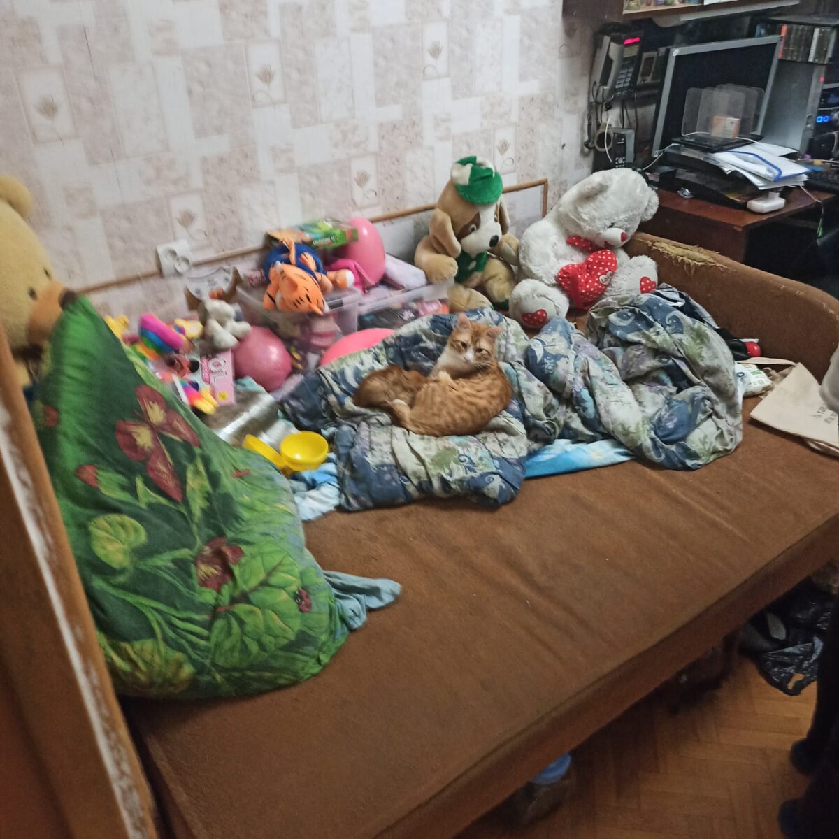 Вот в таких условиях оказываются дети и животные. Фото из личного архива.