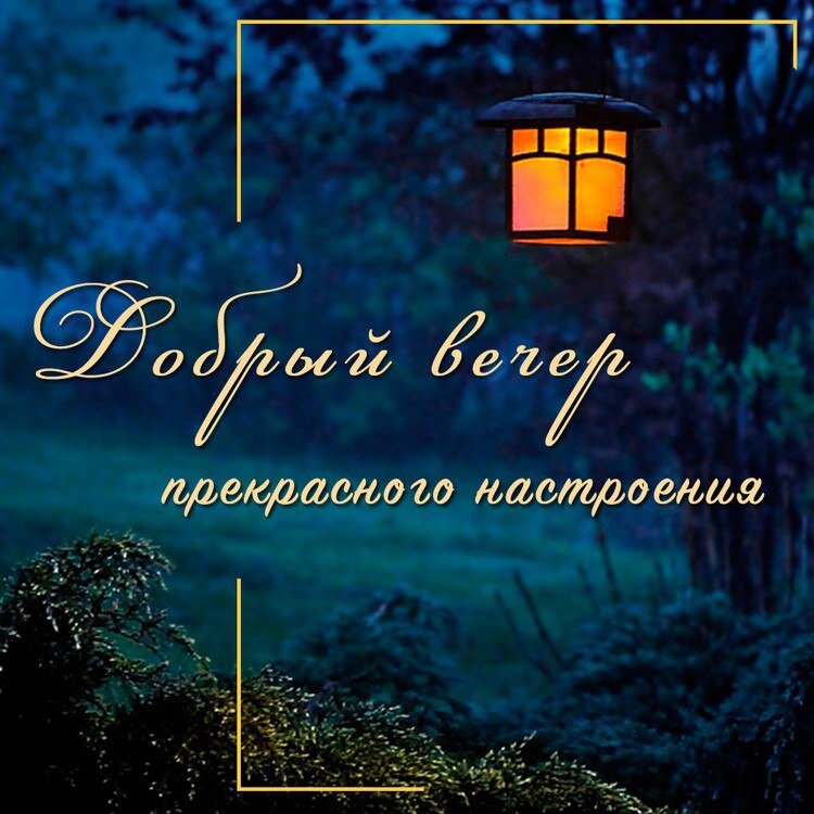 Дзен добрый вечер картинки Вечер добрый!!! Готовлюсь к очередному посещению онколога. Не перестаю удивлятьс