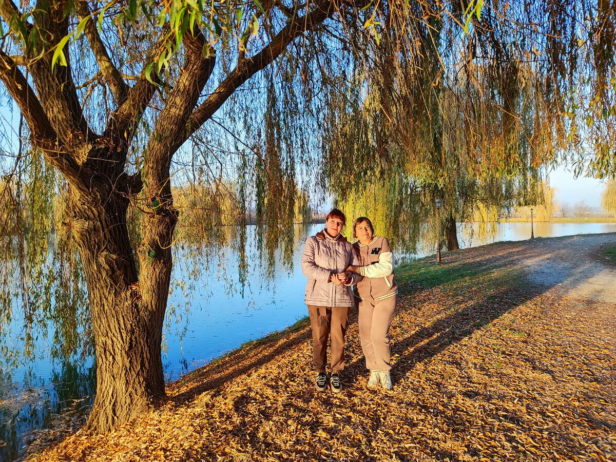 "В лучах заката".