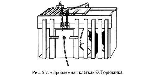 Проблемная клетка Торндайка с сайта https://vestnik-icdc-ru Каковы всё же были затейники с Иваном Петровичем! Правда, Павлов свои эксперименты с собаками проводил, что не помешало обоим учёным прийти к практически одинаковым выводам. Почему-то сегодня возник вопрос: а в то время выбор животных был как-то обусловлен чувствами к ним экспериментатора? И, если да, то это была симпатия или совсем наоборот?🙈