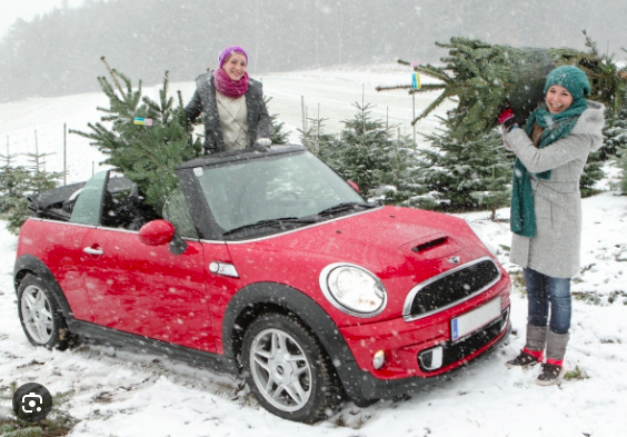 Ооооо, да тама дама не одна такая!:) Фото: weihnachtsbaum