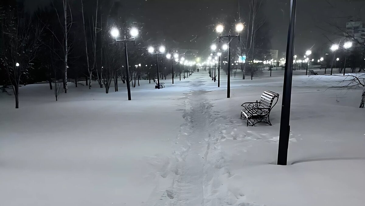     В Нижнекамске местные жители возмутились отсутствию уборки в парке Нефтехимиков. Соответствующая публикация появилась в сообществе «Народный контроль».