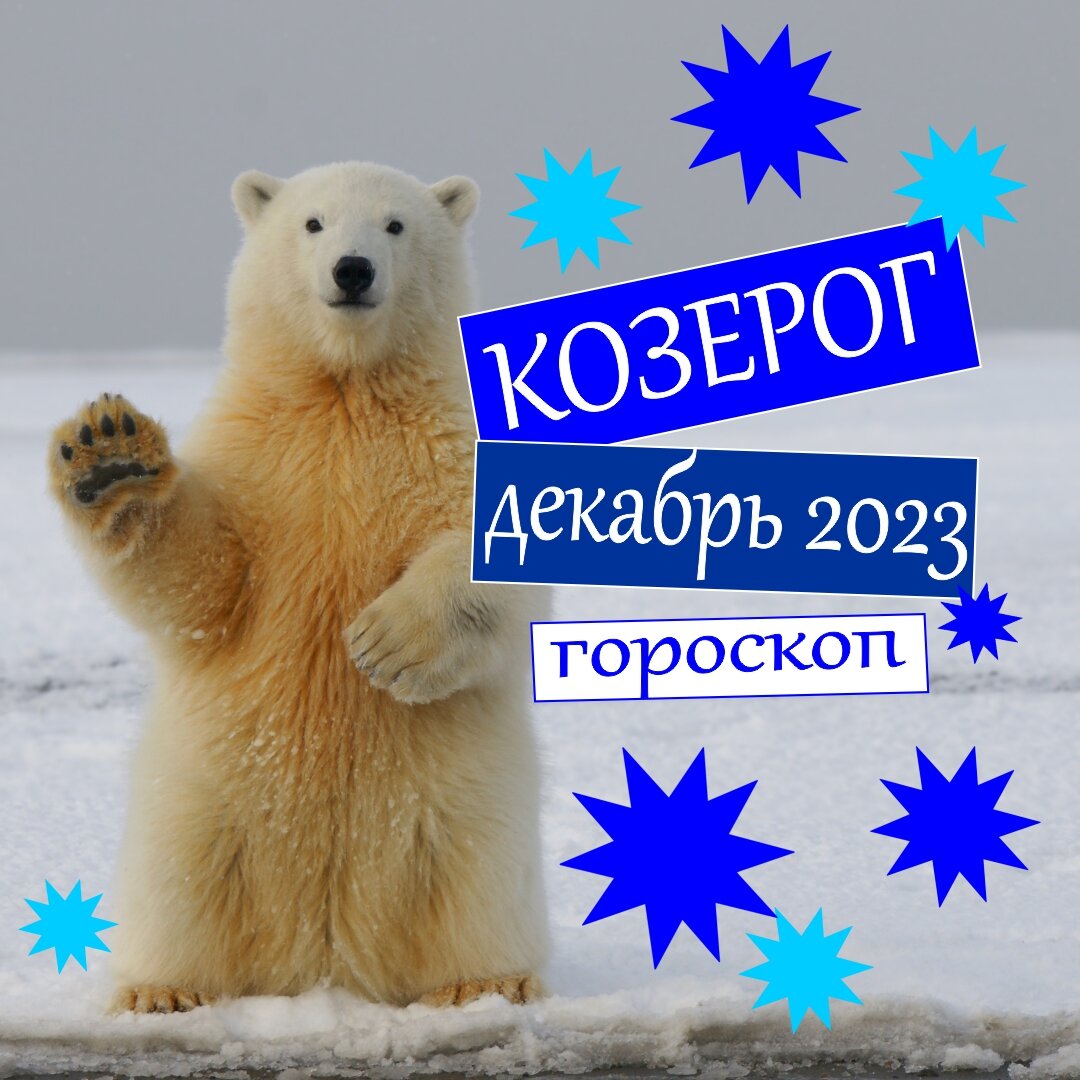 Козерог. Гороскоп на декабрь 2023: деньги, любовь, работа, здоровье |  Гороскопы от Астролога | Дзен