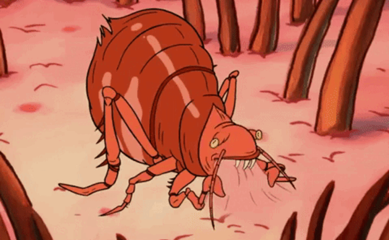 Левша кадры из мультфильма. Левша лесков иллюстрации блохи. Левша кадры из мультфильма. Блохи мультяшные. Блохи анимация.