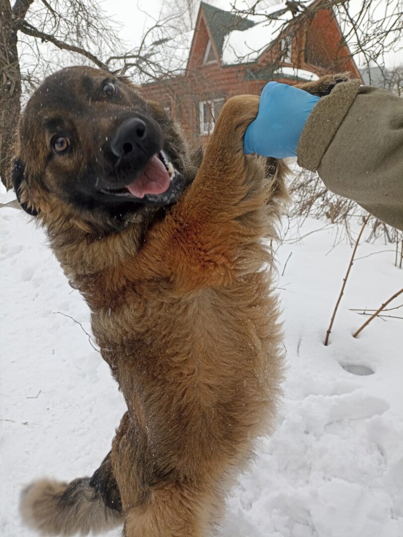 Такой улыбчивый малыш!