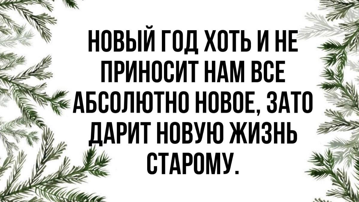 75+ прикольных новогодних статусов про елку, корпоратив и новогоднее чудо