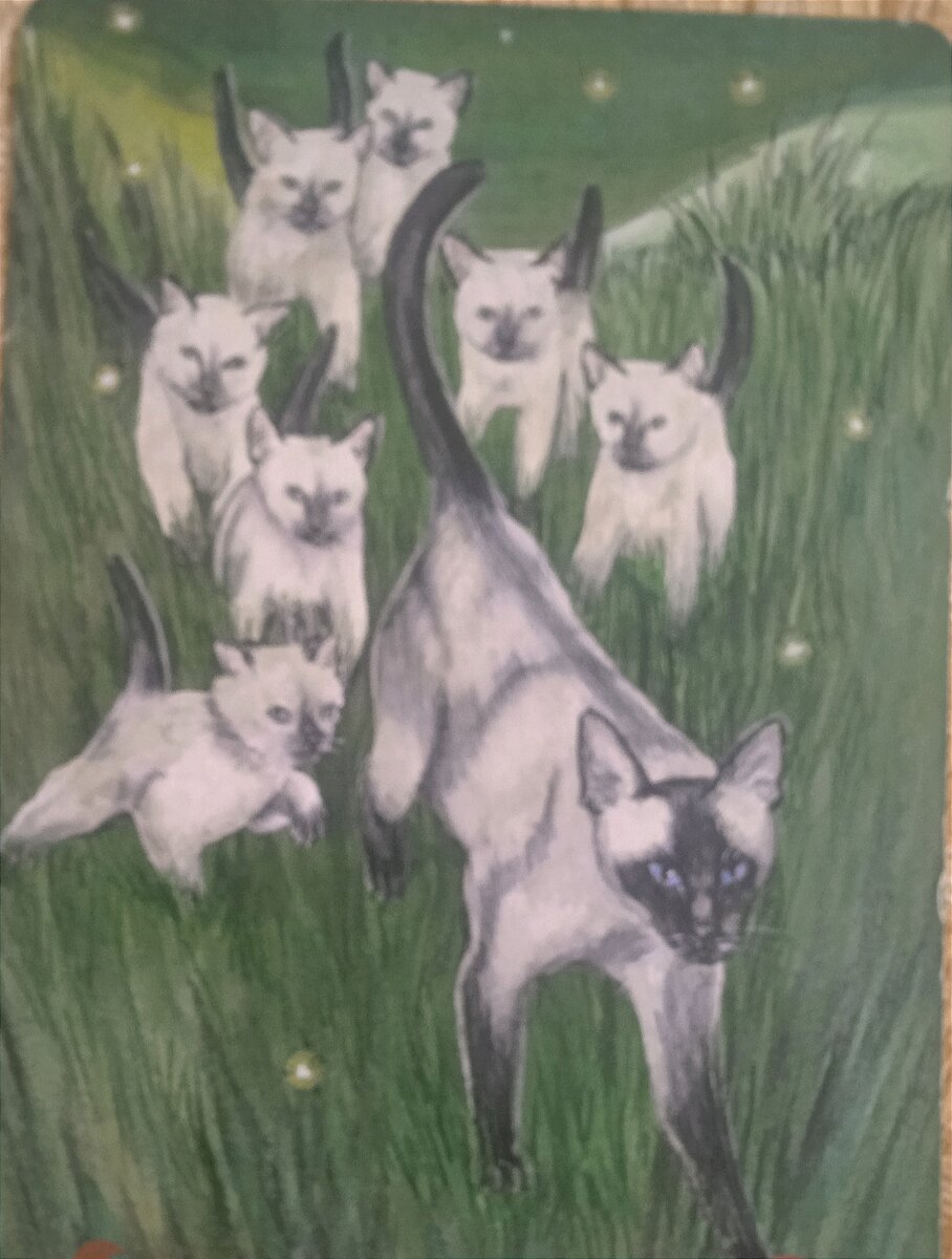 Таро мистических кошек. 