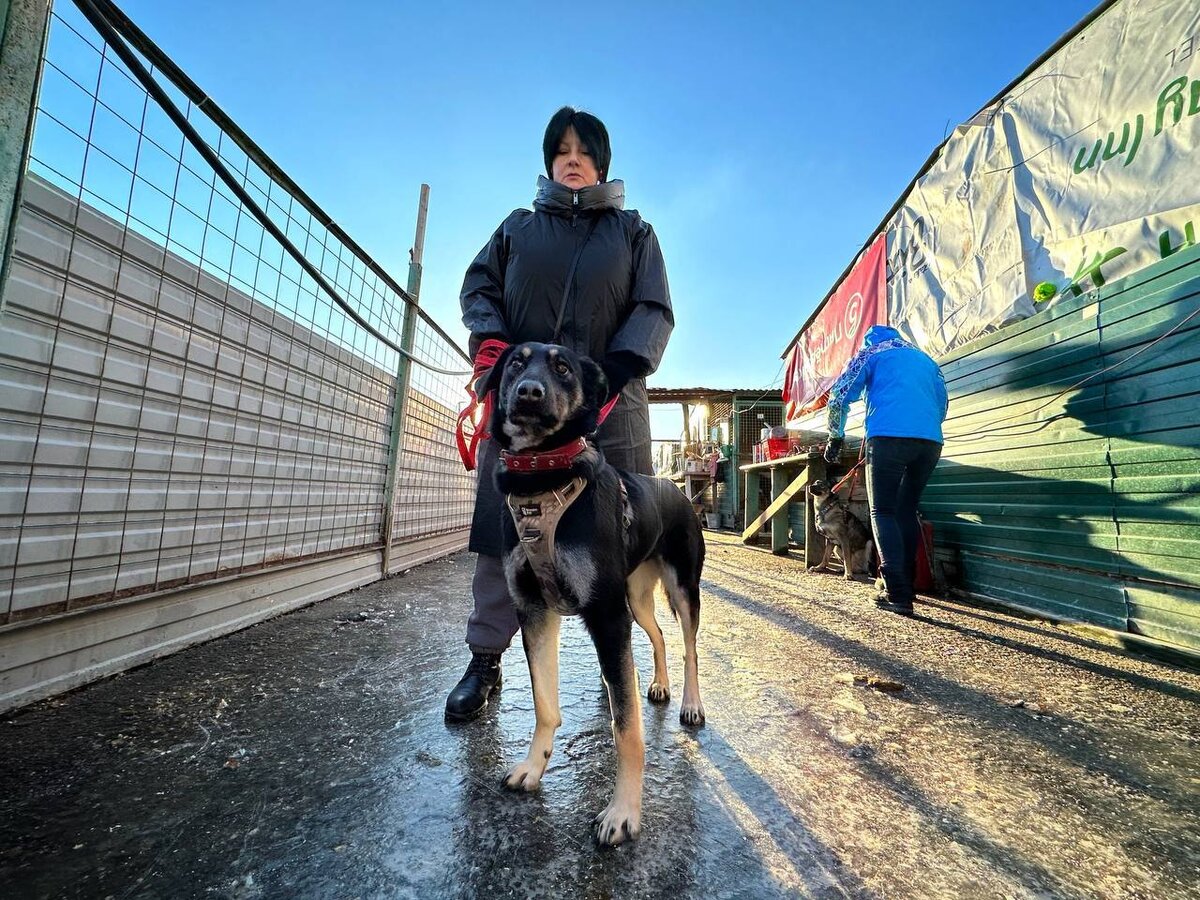 Хади , 1,5 года 