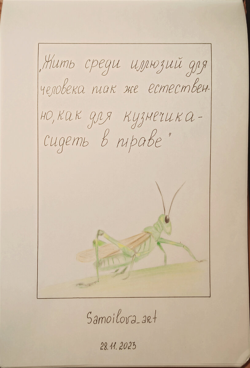 28 ноября 2023