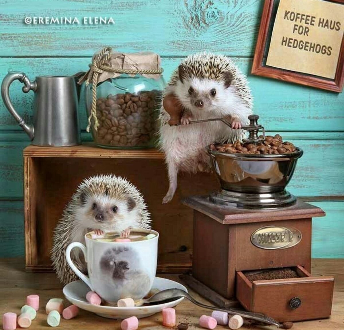 Яндекс. Открытый источник 