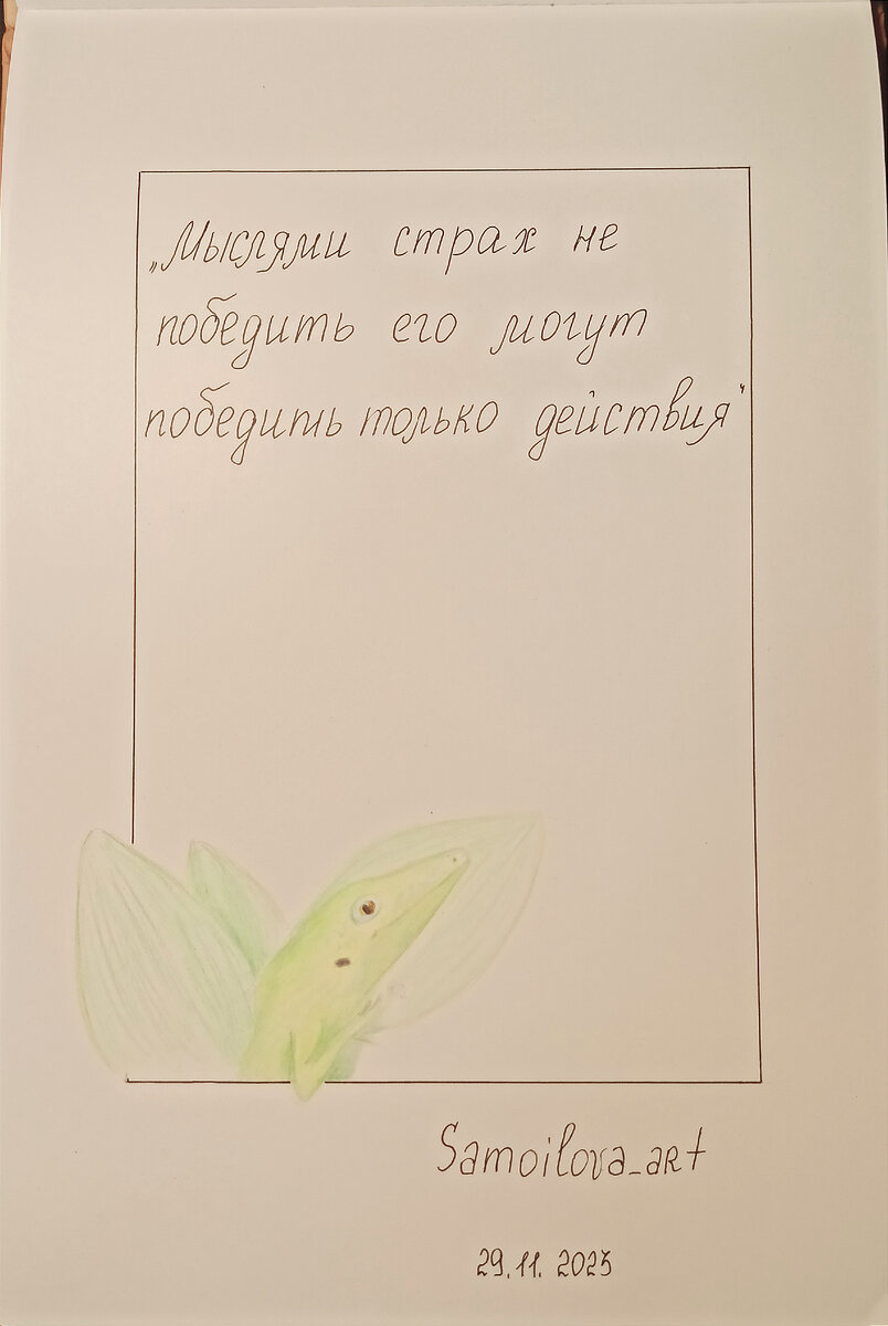 29 ноября 2023