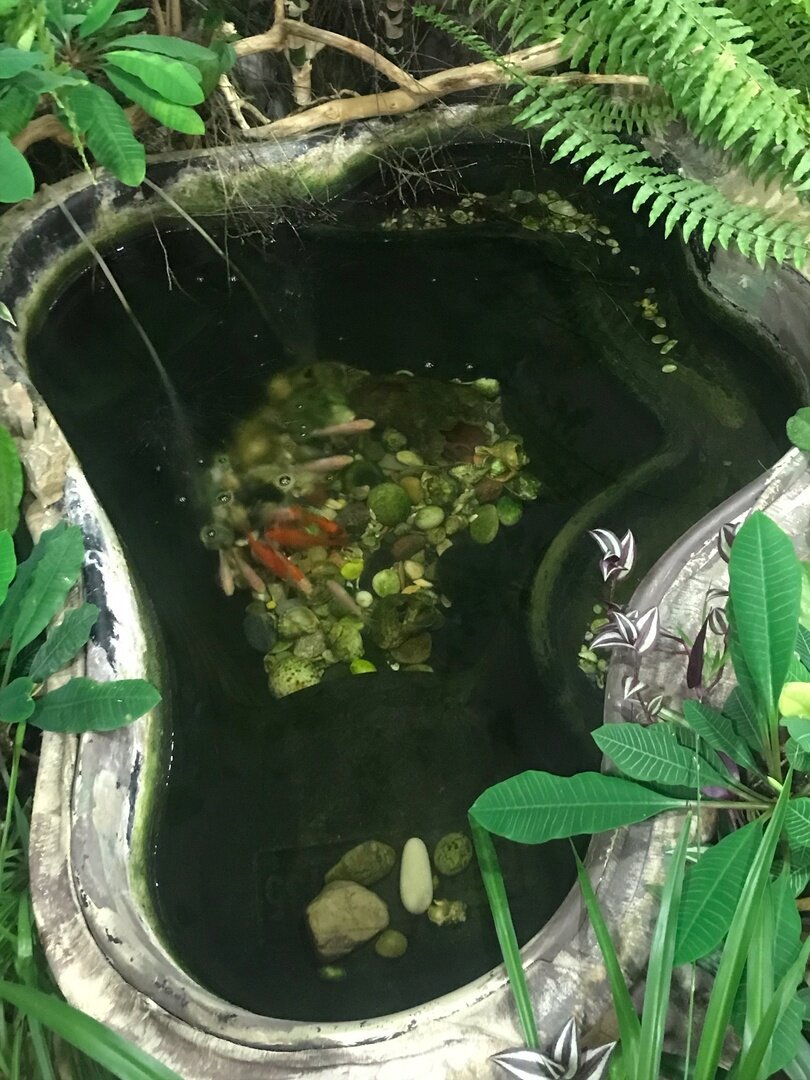 Есть даже напольный аквариум с рыбками