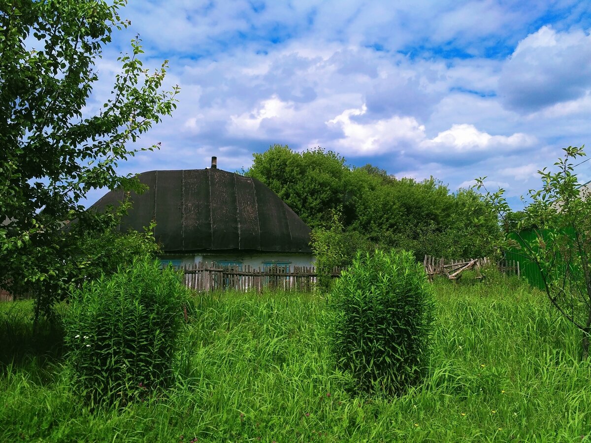 Фото автора канала. Деревенский дом