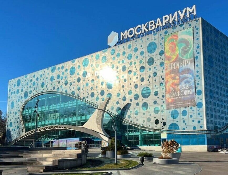    Кадр из Телеграм-канала