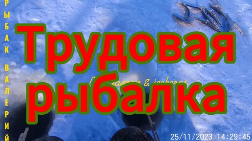 Трудовая рыбалка 🐠❄️🦈