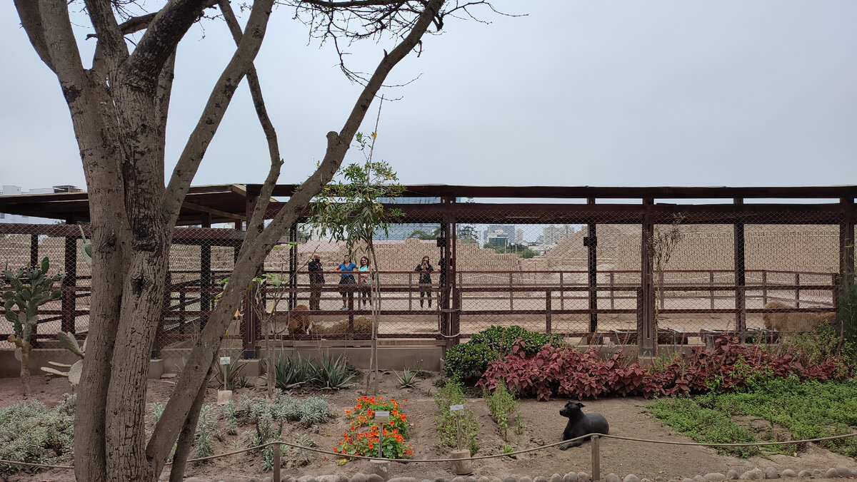 Городские зарисовки