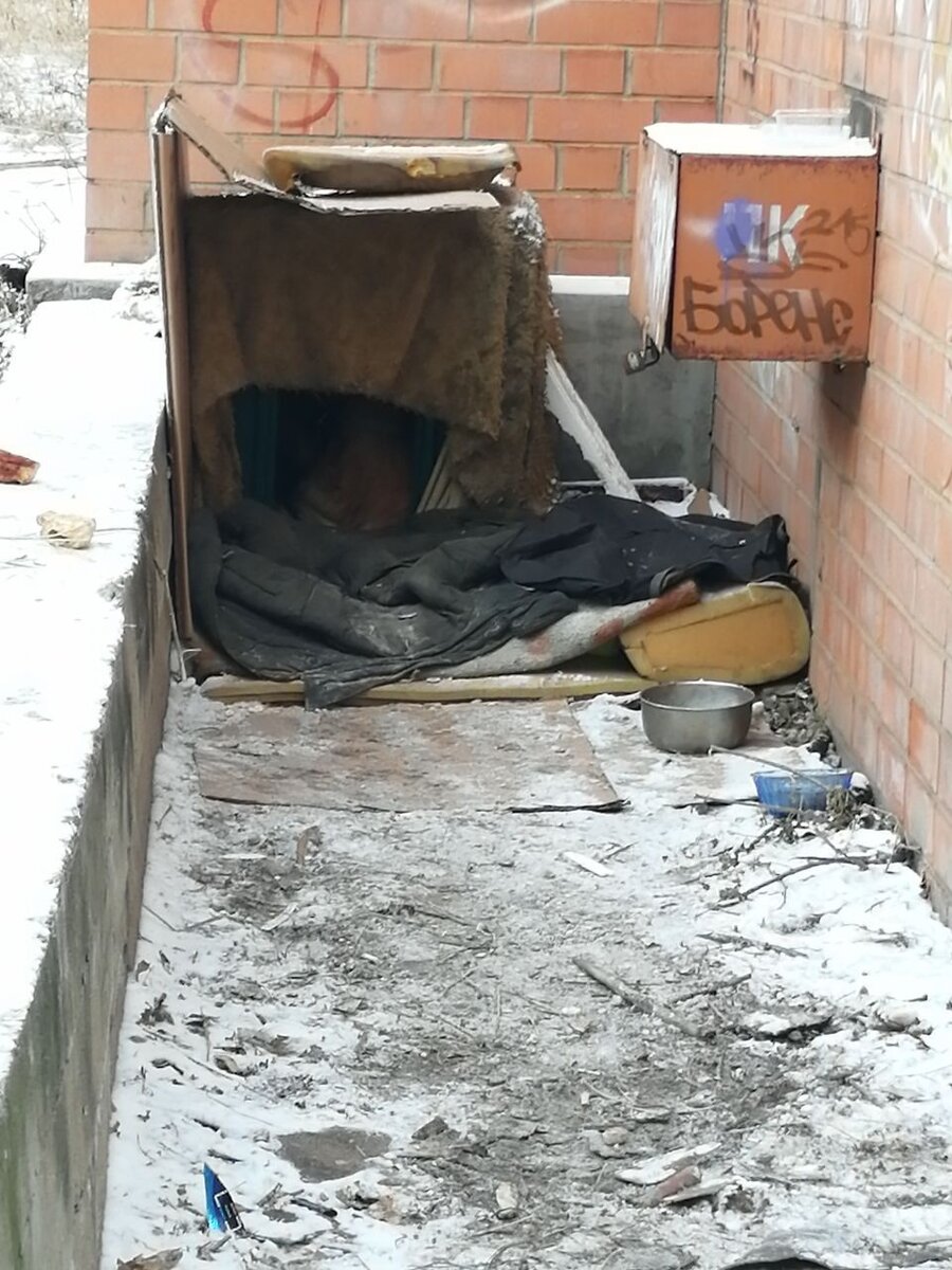    Фото: Lenta75.ru   📷   Фото: Lenta75.ru