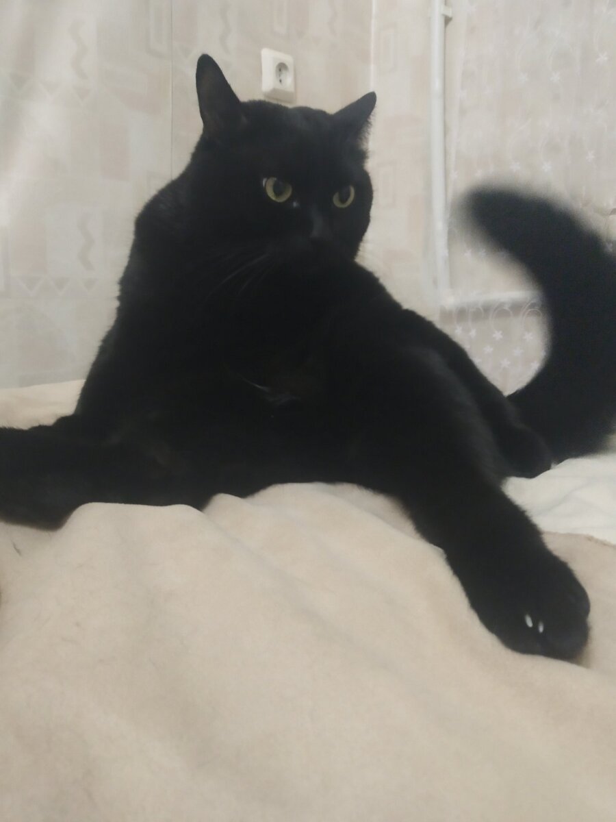 Фото автора 