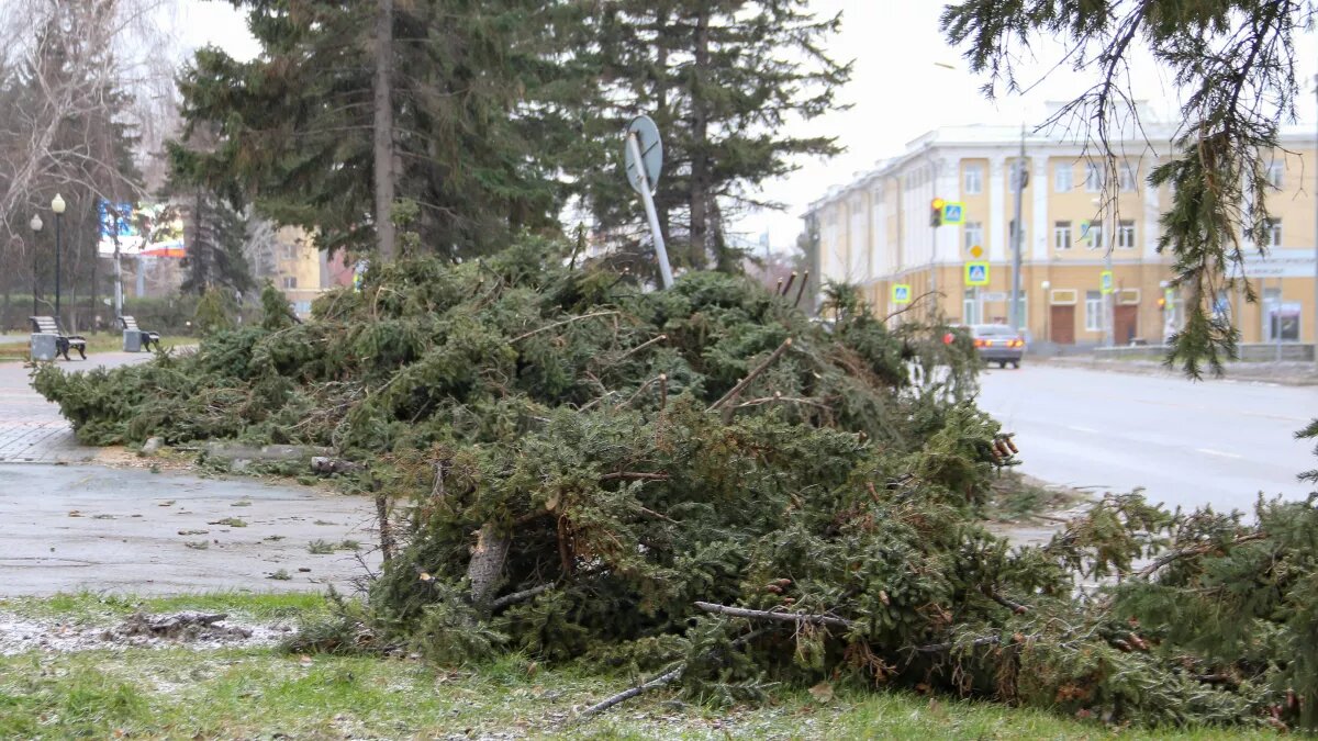 Последствия урагана в Барнауле. Фото: Виталий Барабаш/"Толк"