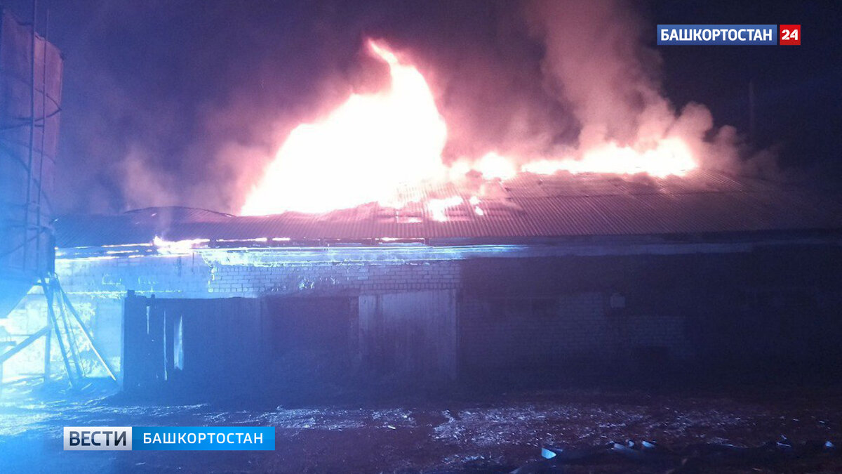    В башкирском Стерлитамаке загорелась кровля цеха с пятью газовыми баллонами внутри