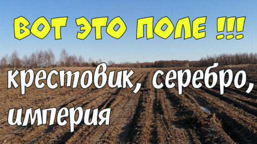 ВОТ ЭТО ПОЛЕ. НАШЁЛ КРЕСТОВИК, СЕРЕБРО, ИМПЕРИЮ. ПОИСК СТАРИНЫ С ЭКВИНОКС 800.