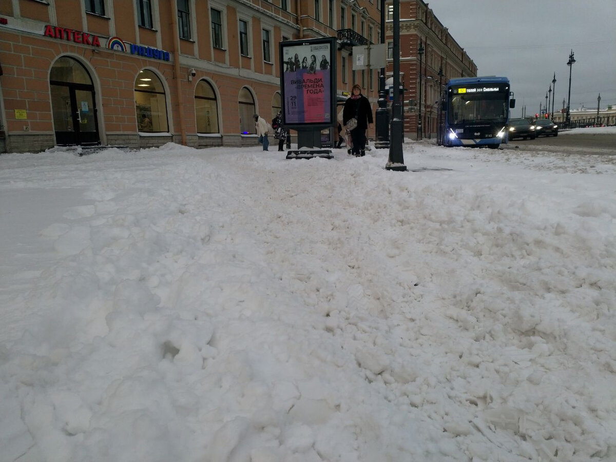 Накануне во второй половине дня в Петербурге пошел снег. Читайте на  