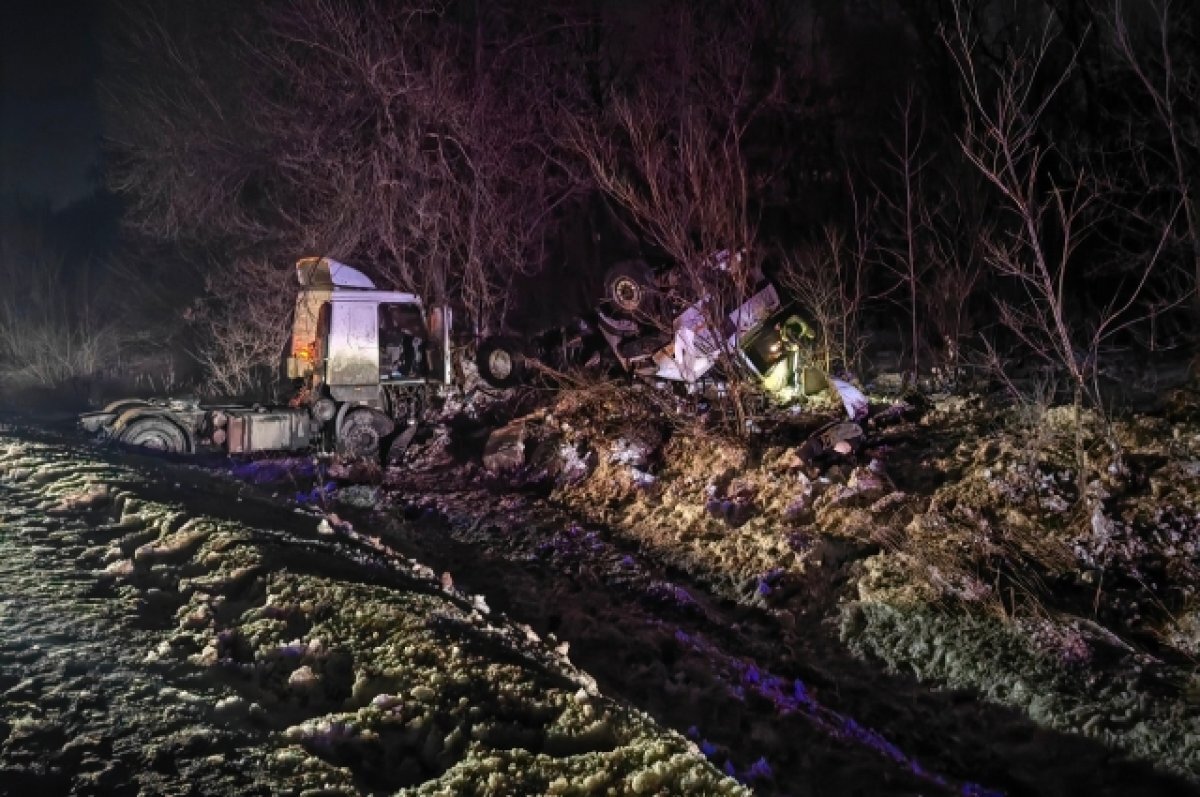    Под Самарой сбивший лося МАЗ свалился в кювет, водитель грузовика погиб