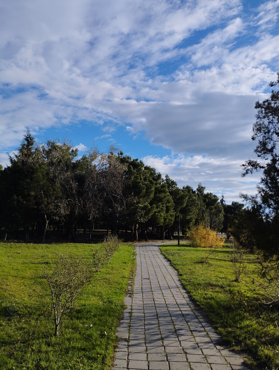 Сегодня утром в Коктебеле. Фото автора канала